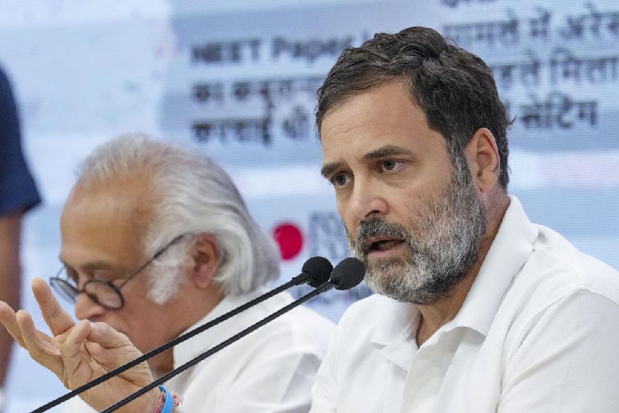 कोई गधा नहीं हैं...सब घोड़े हैं, बस इन्हें पहचानना है...राहुल गांधी ने कांग्रेस नेताओं के बारे में ऐसा क्यों कहा?