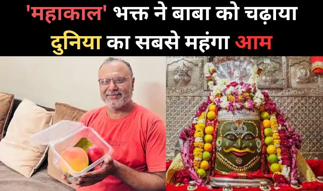 'महाकाल' भक्त ने बाबा को चढ़ाया दुनिया का सबसे महंगा आम, कीमत जान चौंक जाएंगे आप