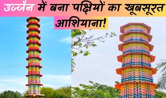 उज्जैन में पक्षियों का आशियाना बनकर तैयार, हजारों पक्षी रहेंगे एक साथ!