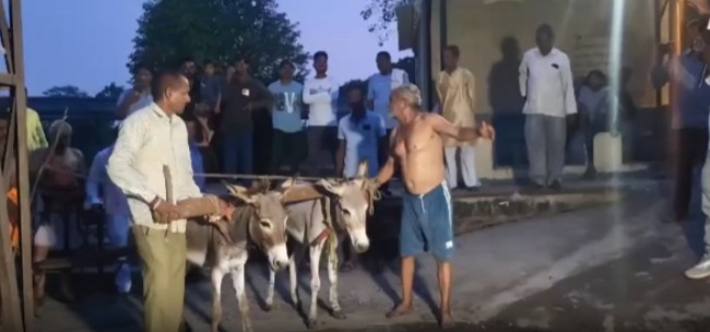 MP में बारिश के लिए अनोखा टोटका, किसानों ने अर्धनग्न होकर श्मशान में गधों से चलवाया 'हल'