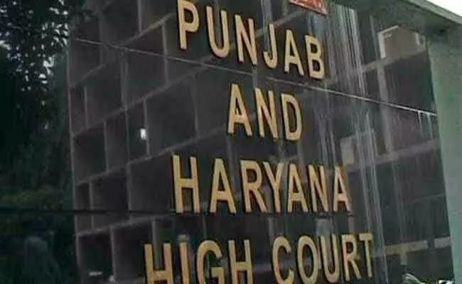 हरियाणा HC का बड़ा फैसला, कहा- 'पिता को अपनी बेटी से मिलने से रोकना क्रूरता'