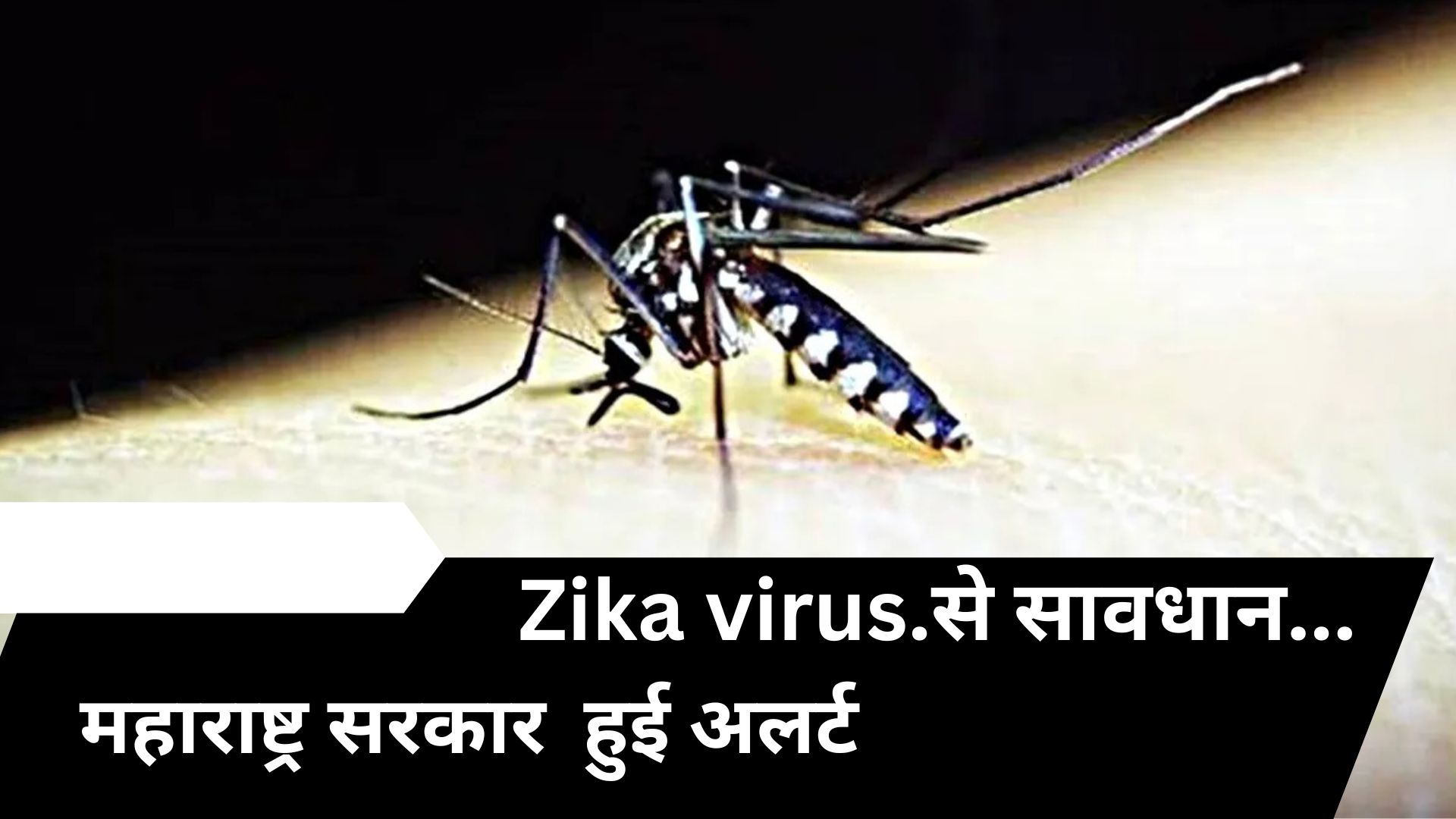 केंद्र का अलर्ट: महाराष्ट्र में Zika Virus के बढ़ते मामलों पर विशेष परामर्श जारी