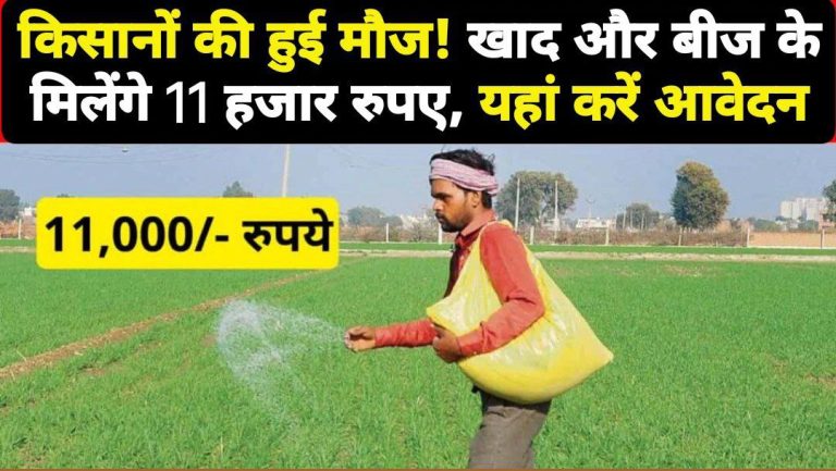 PM Khad Yojana 2024: किसानों की हुई मौज, खाद और बीज के लिए खाते में आएंगे 11 हजार रुपए, यहां करें आवेदन