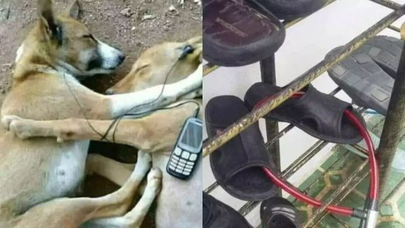 Best Jugad: ये है भारत के सबसे बढिया जुगाड़, देखकर दोगे 21 तोपों की सलामी