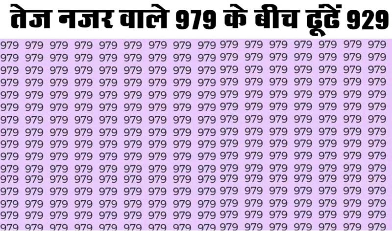 Optical Illusion : बताओ कितनी तेज है आपकी बुद्धि, पारखी नजर वाले 10 सेकंड में ढूंढलेंगे 979 के बीच छिपा 929 अंक