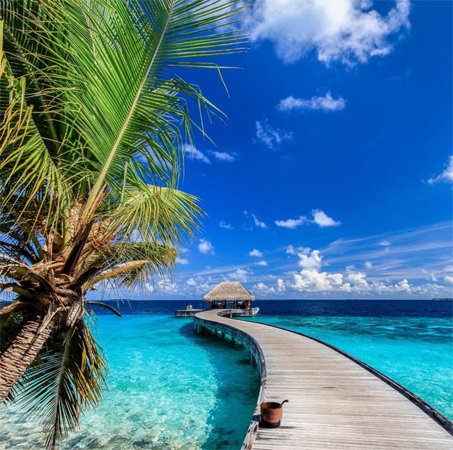 Abroad Honeymoon Destinations : शादी के बाद घूमने जाना हैं विदेश तो ये हैं सबसे सस्ती जगहें, सिर्फ इतना आएगा खर्च