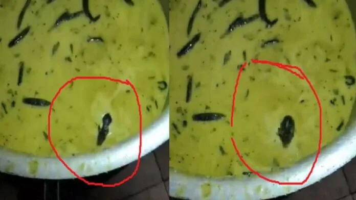 होस्टल मेस में चटनी में तैरता दिखा चूहा, छात्रों के उड़े होश Video Viral
