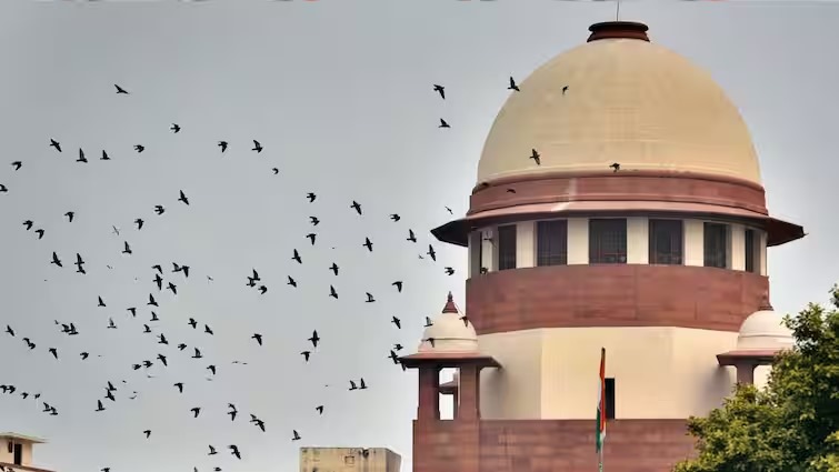 SC hearing Live: सरकार ने माना कि पेपर लीक हुआ.. NEET-UG पर सुप्रीम कोर्ट में सुनवाई, जानें CJI ने क्या कहा