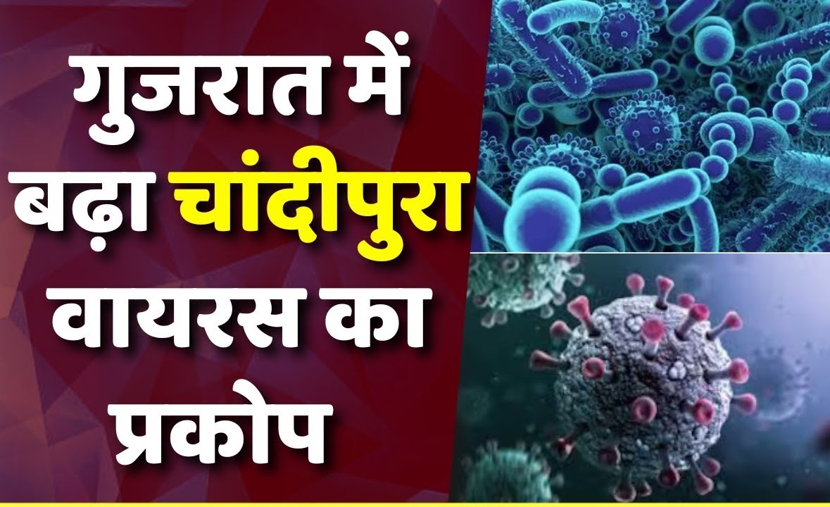 गुजरात में बढ़ा चांदीपुरा वायरस का प्रकोप, 27 बच्चों की मौत अन्य 71 मामले आए सामने