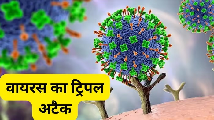 सावधान! केरल में निपाह, गुजरात में चांदीपुरा, महाराष्ट्र में जीका... 3 राज्यों में वायरस का ट्रिपल अटैक, हेल्थ एजेंसियों ने जारी किया अलर्ट
