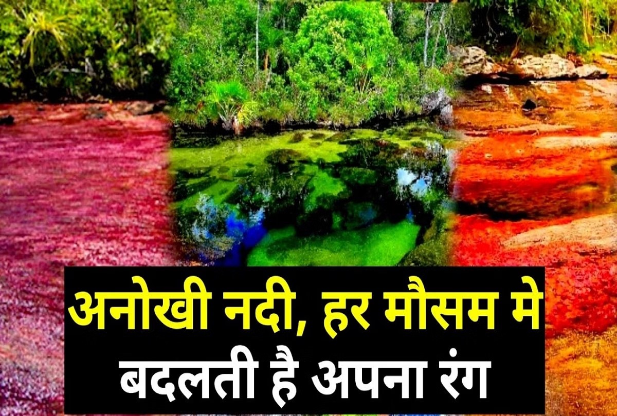 Gk Quiz: दुनिया की कौन सी नदी अपना रंग बदलती रहती है?