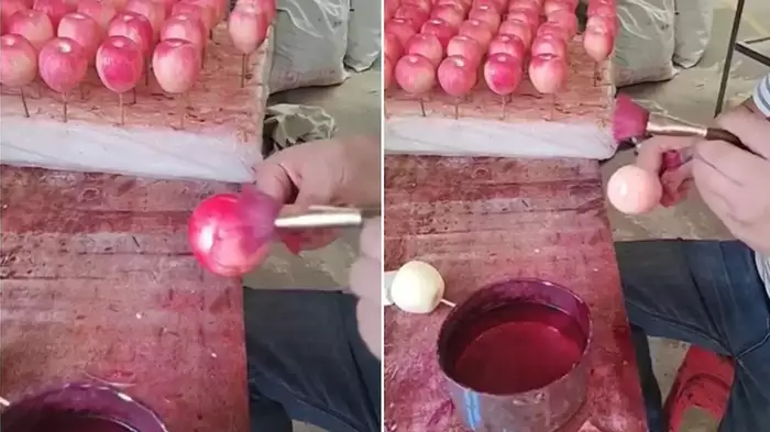 लाल रंग देख अगर आप भी सेब को समझते हैं फ्रेश.. शख्स कर रहा था ऐसा काम...Video देख हो जायेंगे हैरान