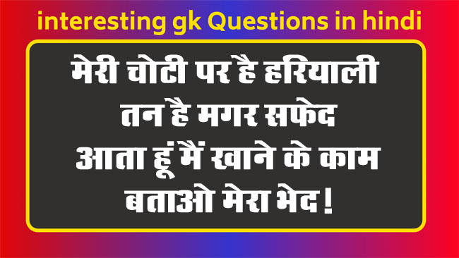 Interesting GK Questions: मेरी चोटी पर है हरियाली, तन है मगर सफेद, आता हूं मैं खाने के काम, बताओ मेरा भेद!