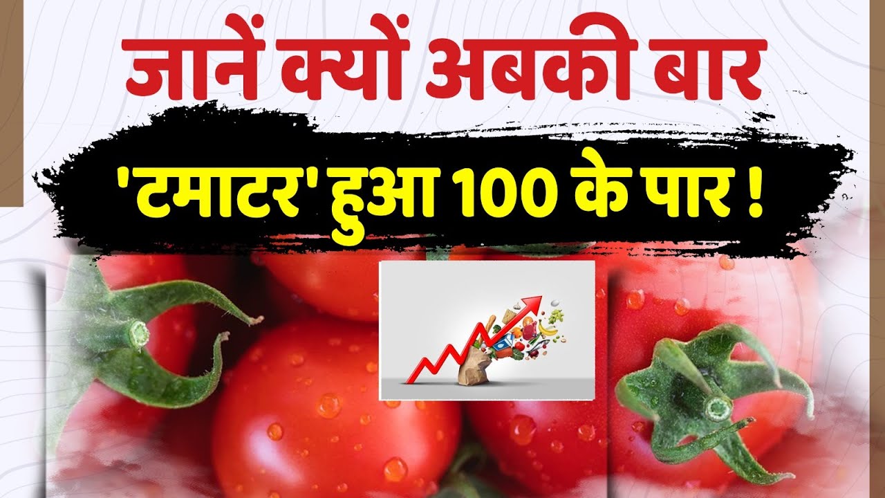 जानें क्यों? अब की बार 'टमाटर' हुआ 100 के पार!
