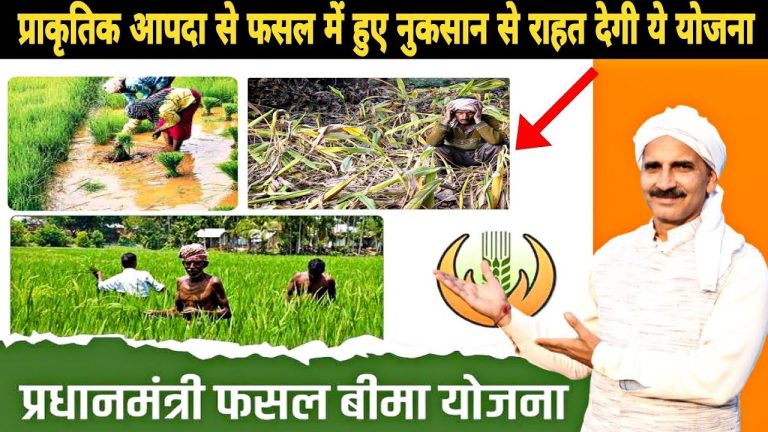 PM Fasal Bima Yojana : 31 जुलाई तक किसानों ने नहीं किया ये काम तो 1 रुपए भी नहीं मिलेगा मुआवजा, जल्‍दी करें