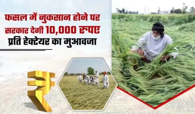 केंद्र सरकार के 10000 एफपीओ परियोजना के मध्यावधि मूल्यांकन का क्या हुआ?