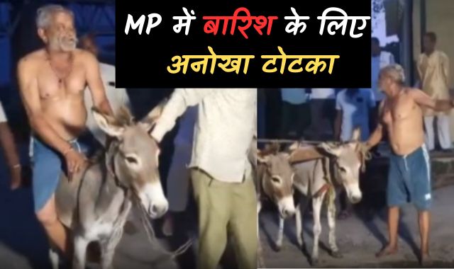 MP में बारिश के लिए अनोखा टोटका, किसानों ने अर्धनग्न होकर श्मशान में गधों से चलवाया 'हल'