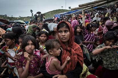 'हमें भारत में शरण दो या मार दो', बांग्लादेश विरोध के बीच बंगाल सीमा पर गहराया शरणार्थी संकट
