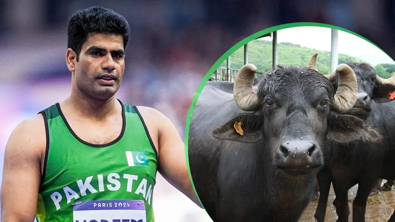 दामाद ने जीता Paris Olympics में गोल्ड, गदगद हुए ससुर, दिया ये खास उपहार