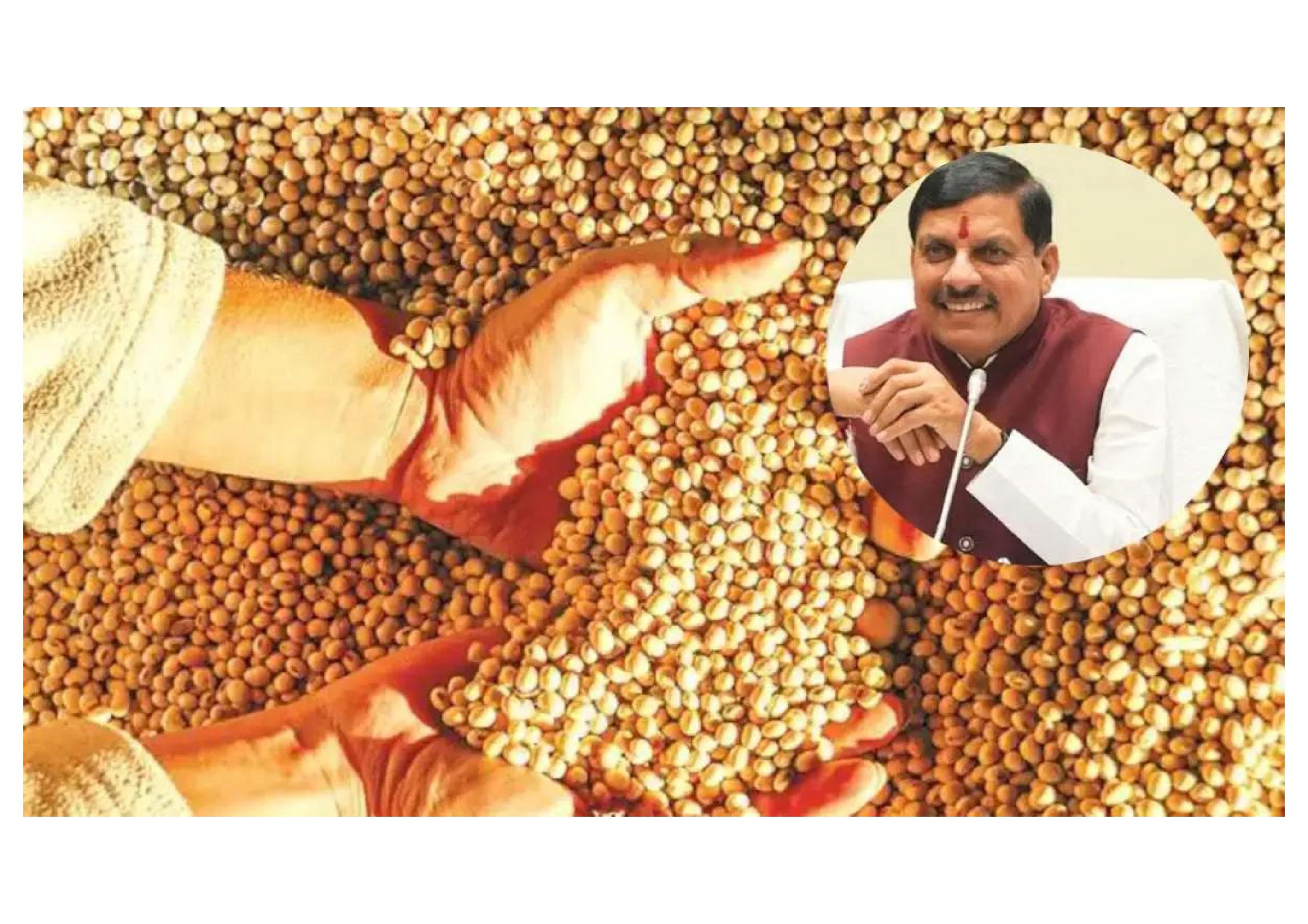 फिर हासिल किया मढ़ा प्रदेश ने ‘सोयाबीन प्रदेश’ का ताज, महाराष्ट्र, राजस्थान को छोड़ा पीछे