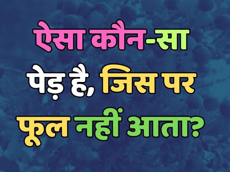Gk Quiz: ऐसा कौन सा पेड़ है जिस पर फूल नहीं आता?