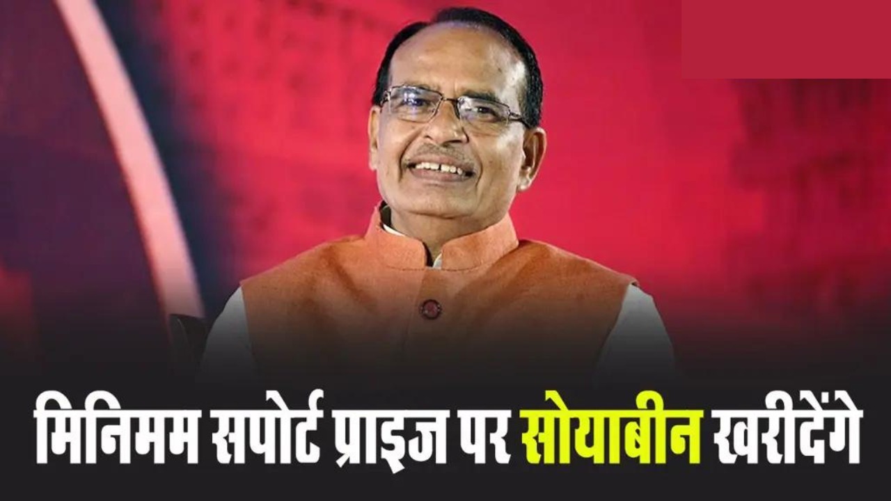 मिनिमम सपोर्ट प्राइज पर खरीदेंगे सोयाबीन, कृषि मंत्री बोले- नरेन्द्र मोदी किसान हितैषी PM