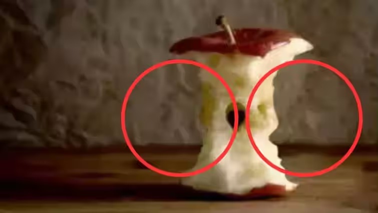 Optical Illusion: इस तस्वीर में कटे हुए सेब की तस्वीर में छिपे हैं दो बच्चों के चेहरे, यदि नहीं ढूंढ पाए तो करा ले आंखों की जांच