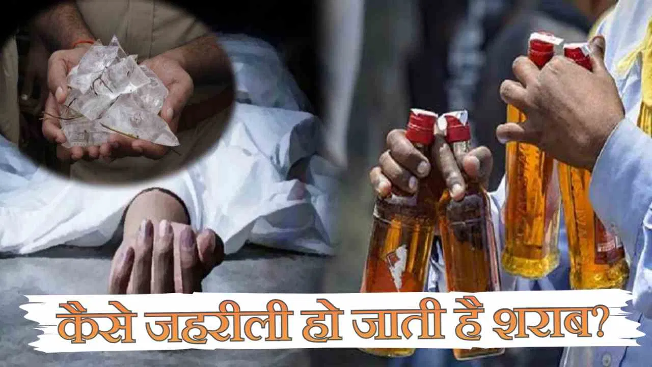 Poisonous Liquor: कैसे जहरीली हो जाती है शराब...फिर ले लेती है लोगों की जान? यहां जानें