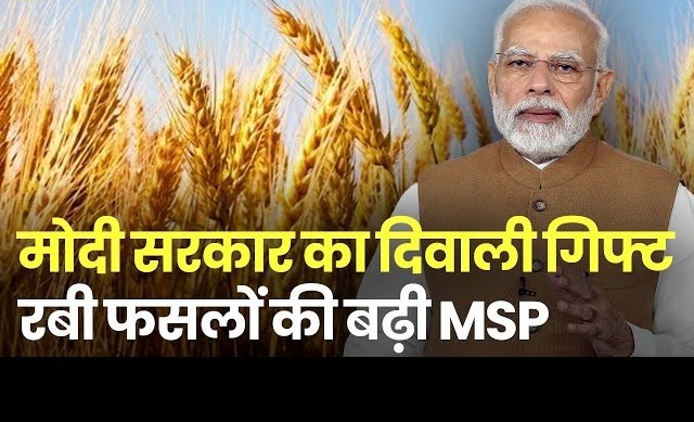 MSP Hike: करोड़ों किसानों को सरकार का दिवाली गिफ्ट! कई फसलों की MSP में बढ़ोतरी, जानें नए रेट