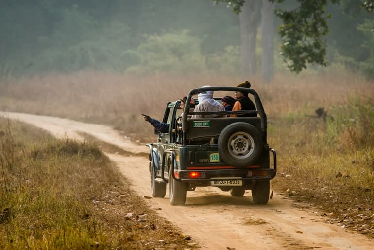 Van Vihar National Park: भोपाल के वन विहार घूमने जा रहे हैं तो पढ़ लें यह खबर, घूमना हुआ महंगा, जानें अब कितना लगेगा शुल्क