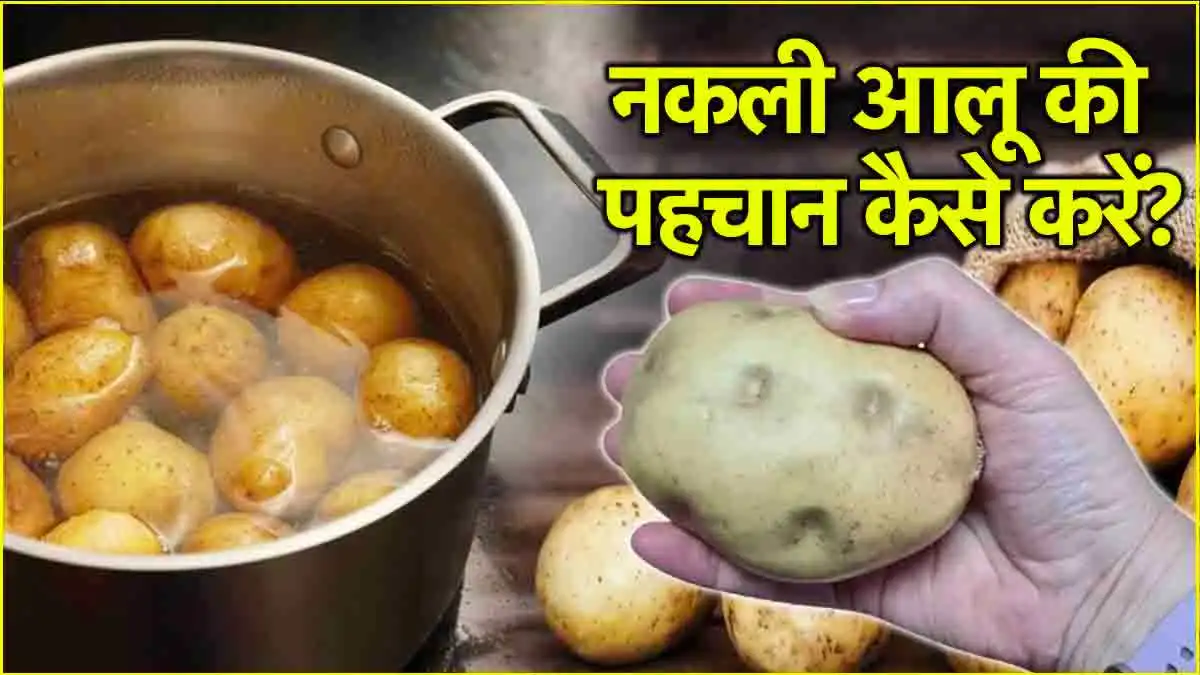 Potato Real or Fake