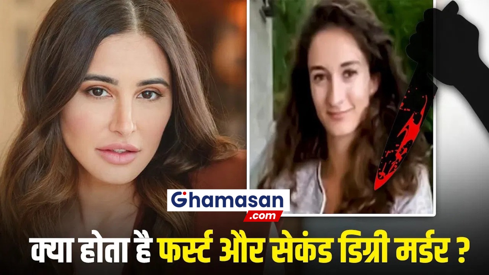 क्या है फर्स्ट और सेकंड डिग्री मर्डर, भारत और अमेरिका में इसकी कितनी सजा? नरगिस फाखरी की बहन पर हैं BF को जलाकर मारने का आरोप