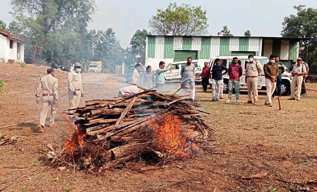 तेंदुए की संदिग्ध मौत, खेत में बेहोशी की हालत में मिला, वन विभाग की टीम जांच में जुटी