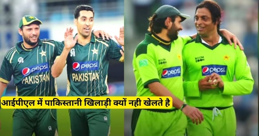 क्यों पाकिस्तानी प्लेयर्स को नहीं मिलता है IPL में मौका? इन खिलाड़ियों का पहला सीजन ही बना आखिरी