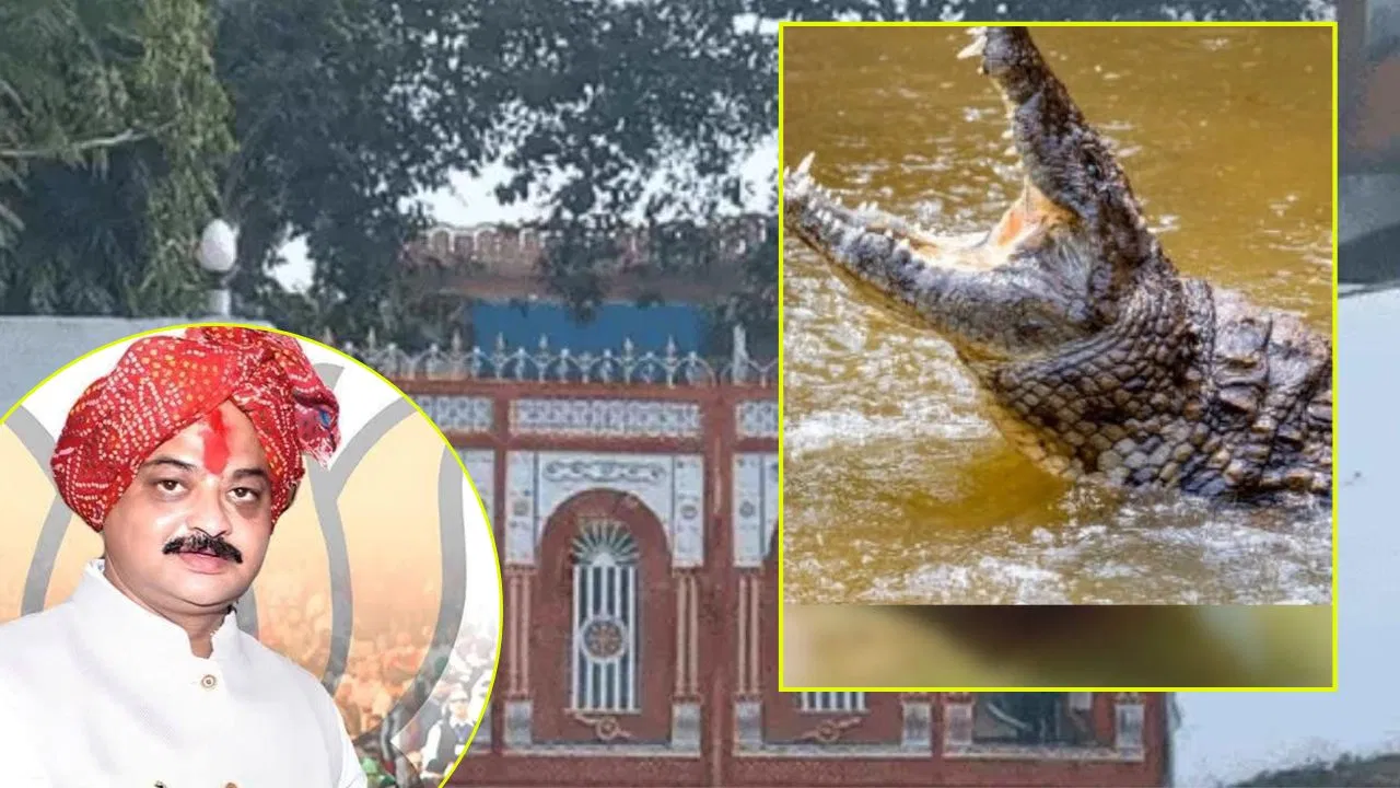 MP News : BJP के पूर्व विधायक के घर से करोड़ों की संपत्ति और तीन मगरमच्छ बरामद, तालाब देखकर हैरान रह गया आयकर विभाग