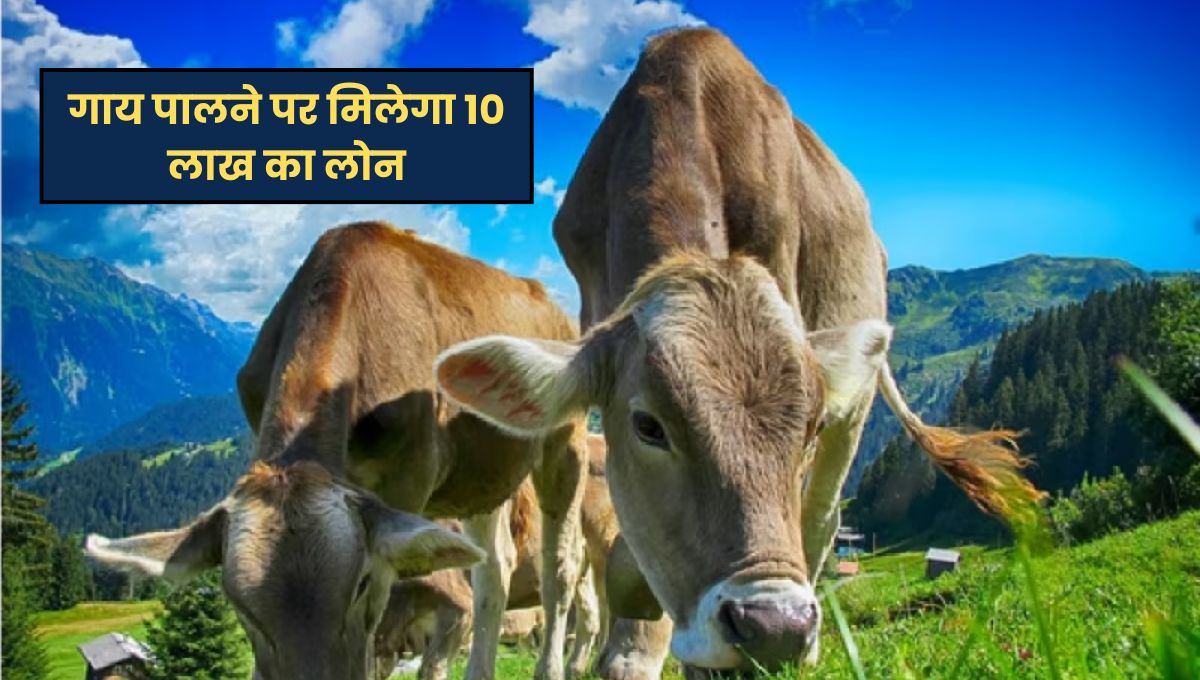 UP Government Scheme For Farmers