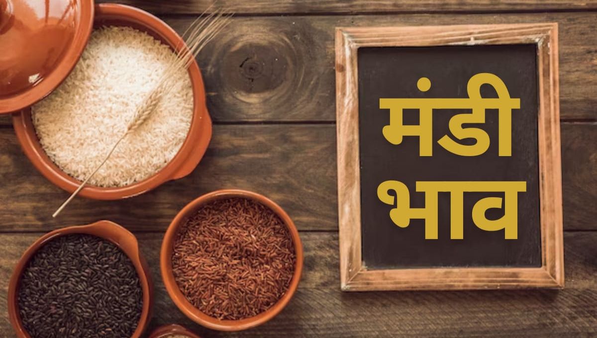 Mandi Bhav