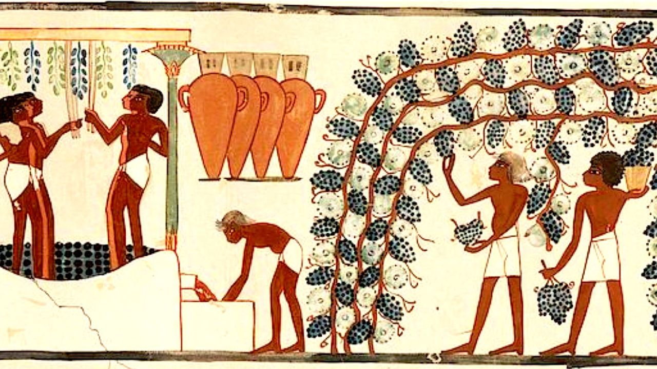 Egypt Ancient Wine