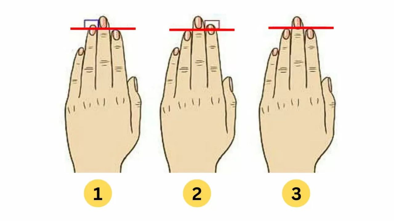 Finger Length Personality Test