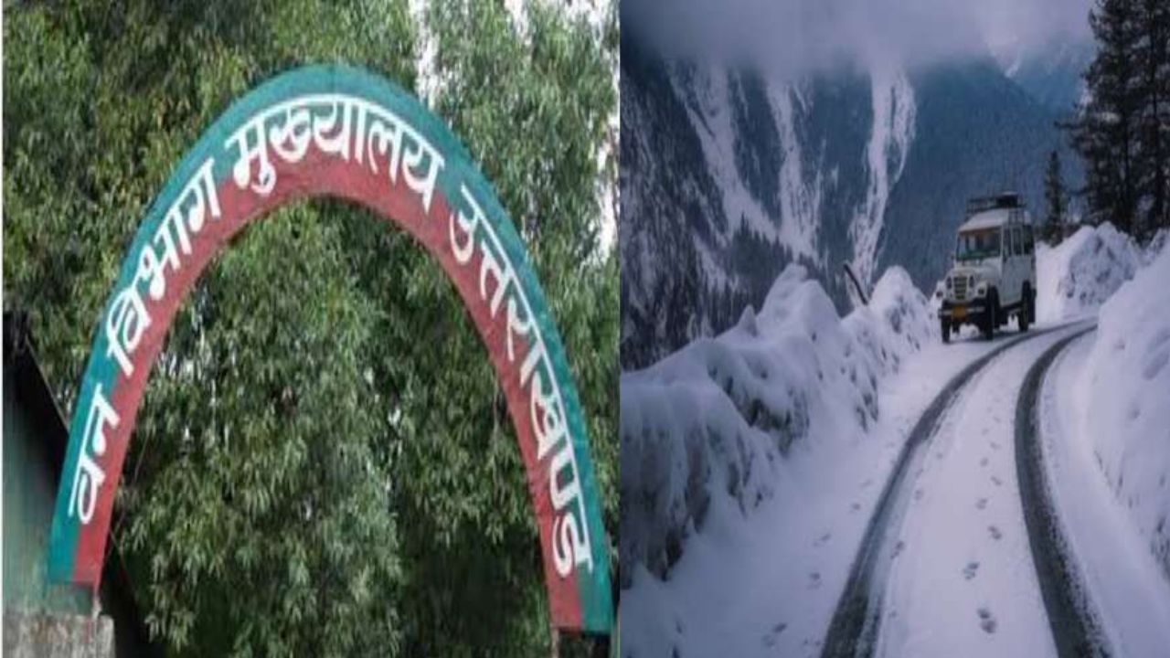 Forest department