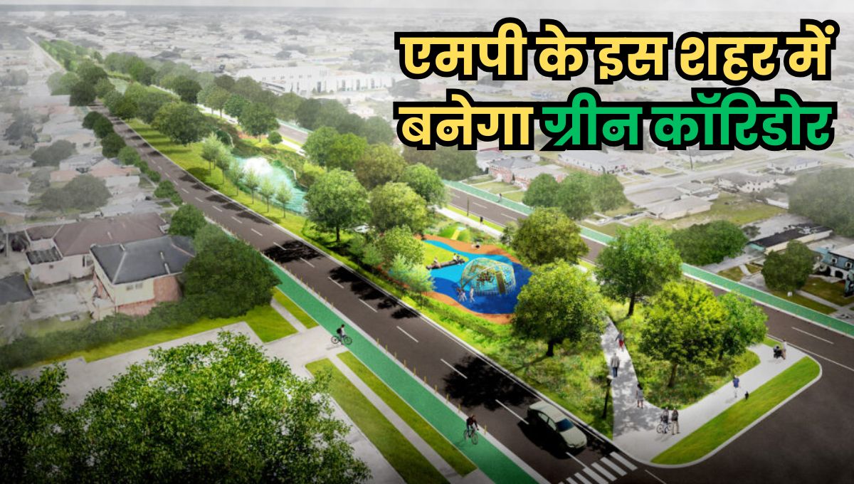MP News