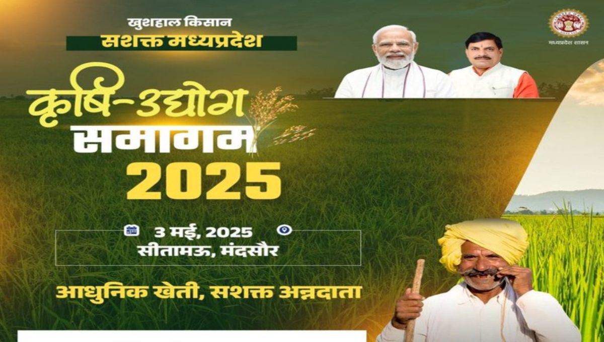 MP News