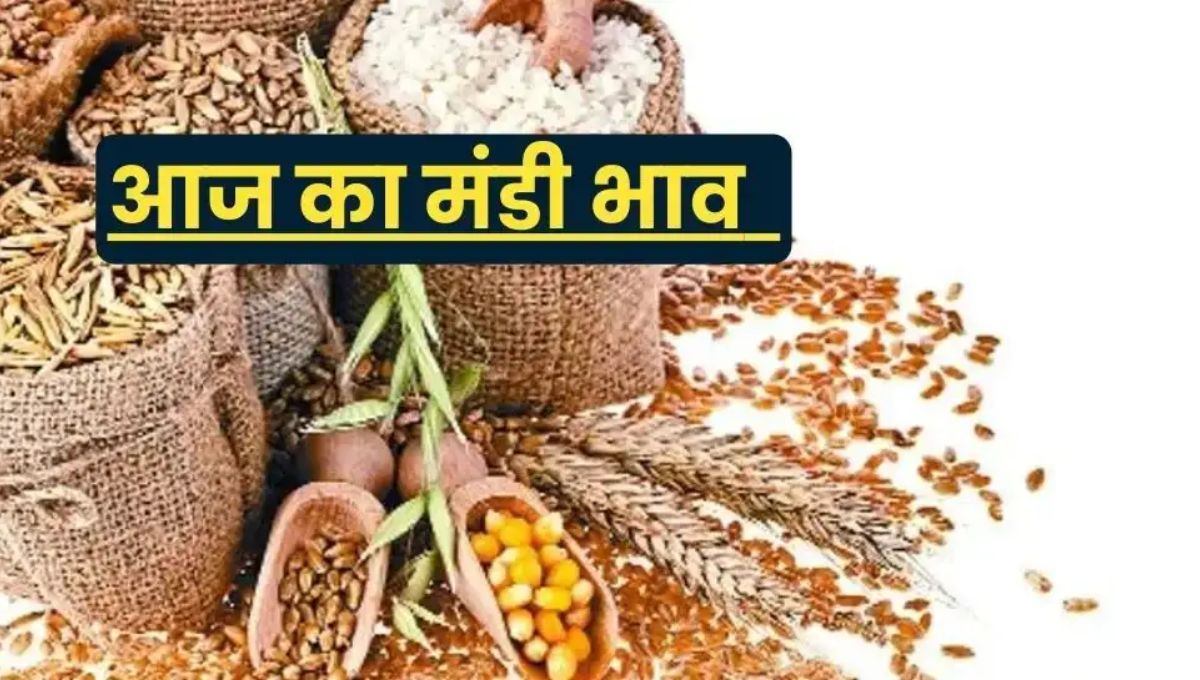 Mandi Bhav