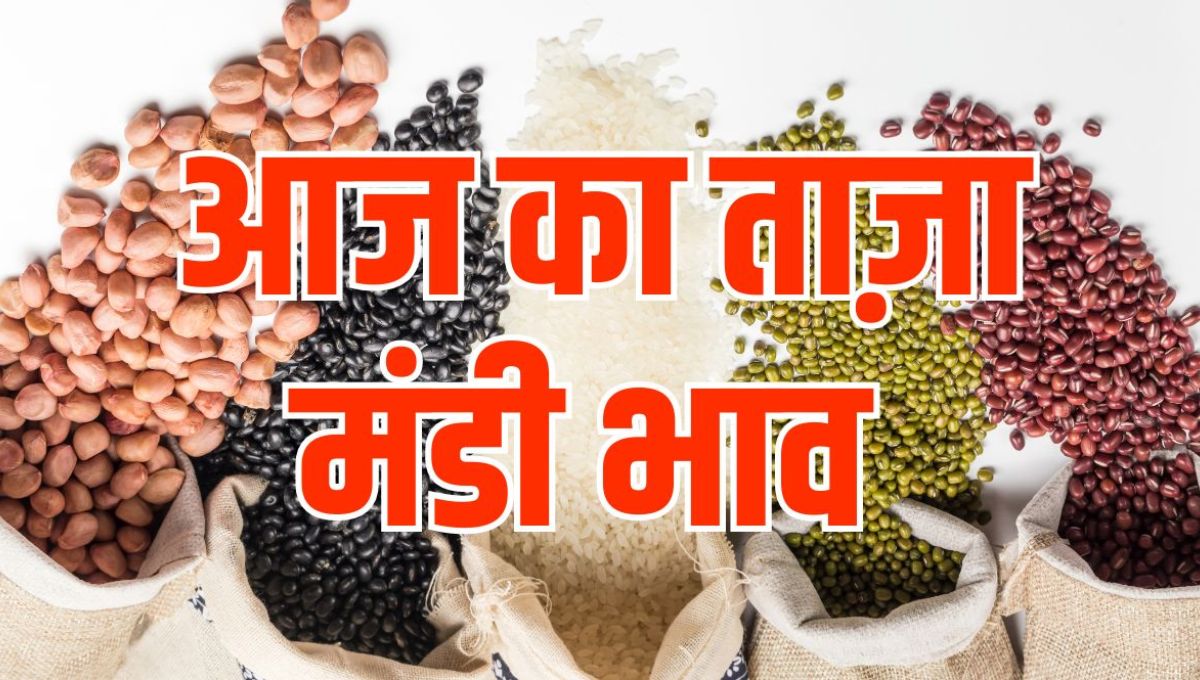 Mandi Bhav 5 May 2025