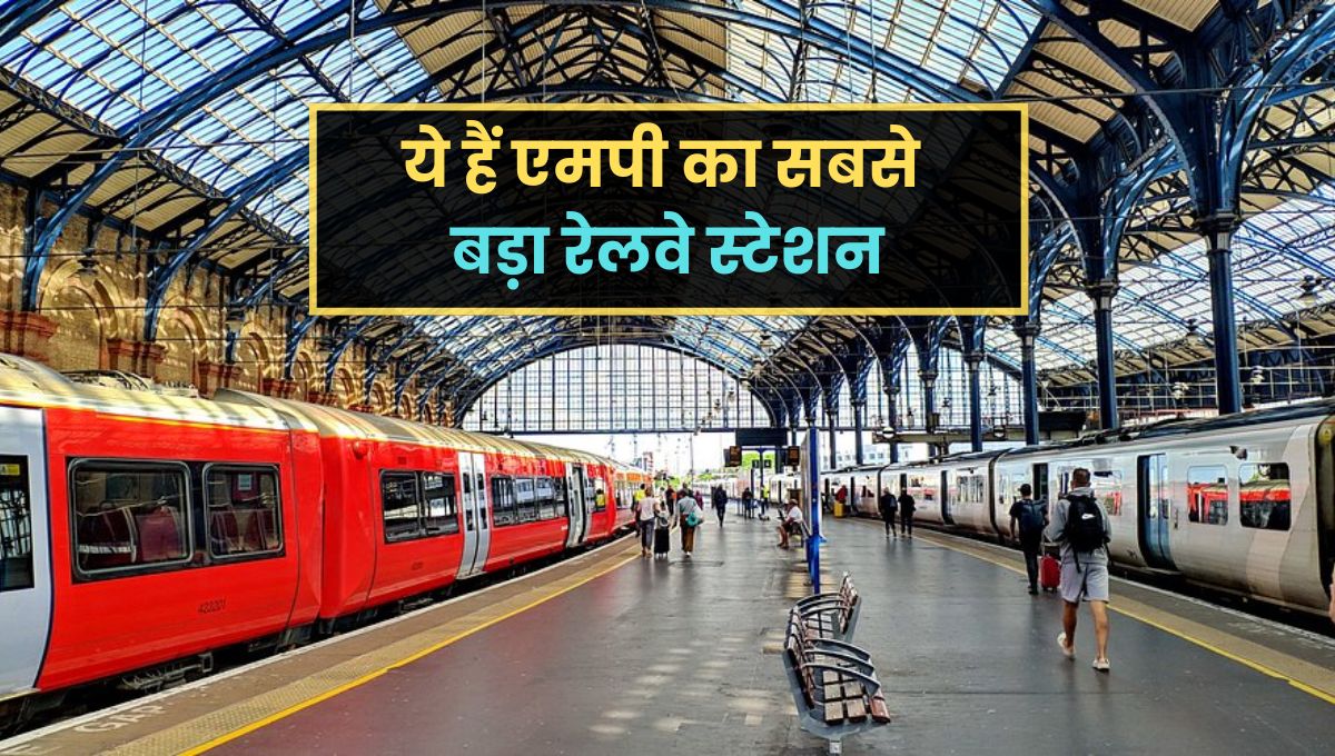 MP News