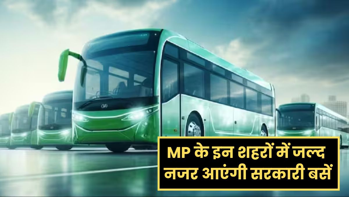 MP News