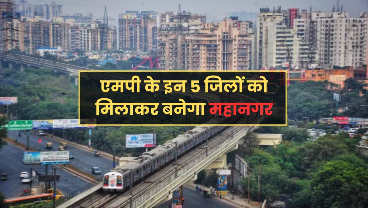 MP News