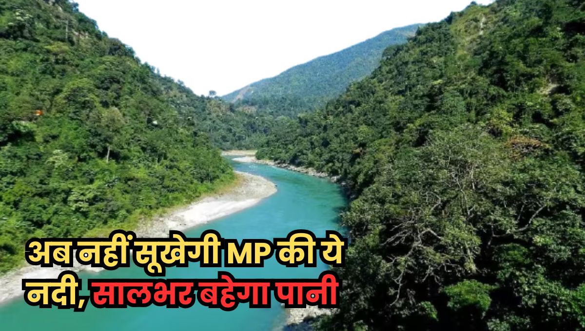 MP News