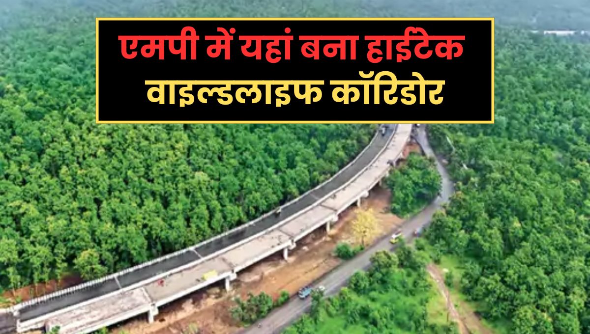 MP News