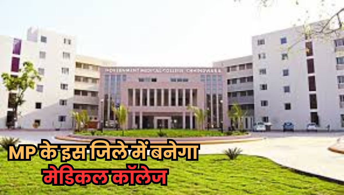 MP News